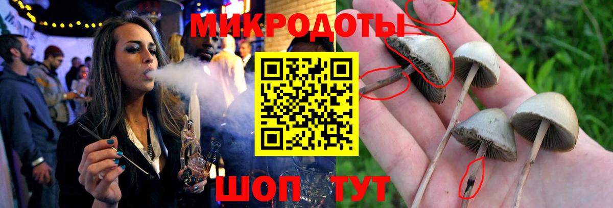 Псилоцибиновые грибы GOLDEN TEACHER Саров